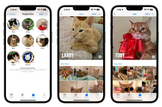 Apple iOS 17 photo app can recognize pets: can distinguish two different orange cats